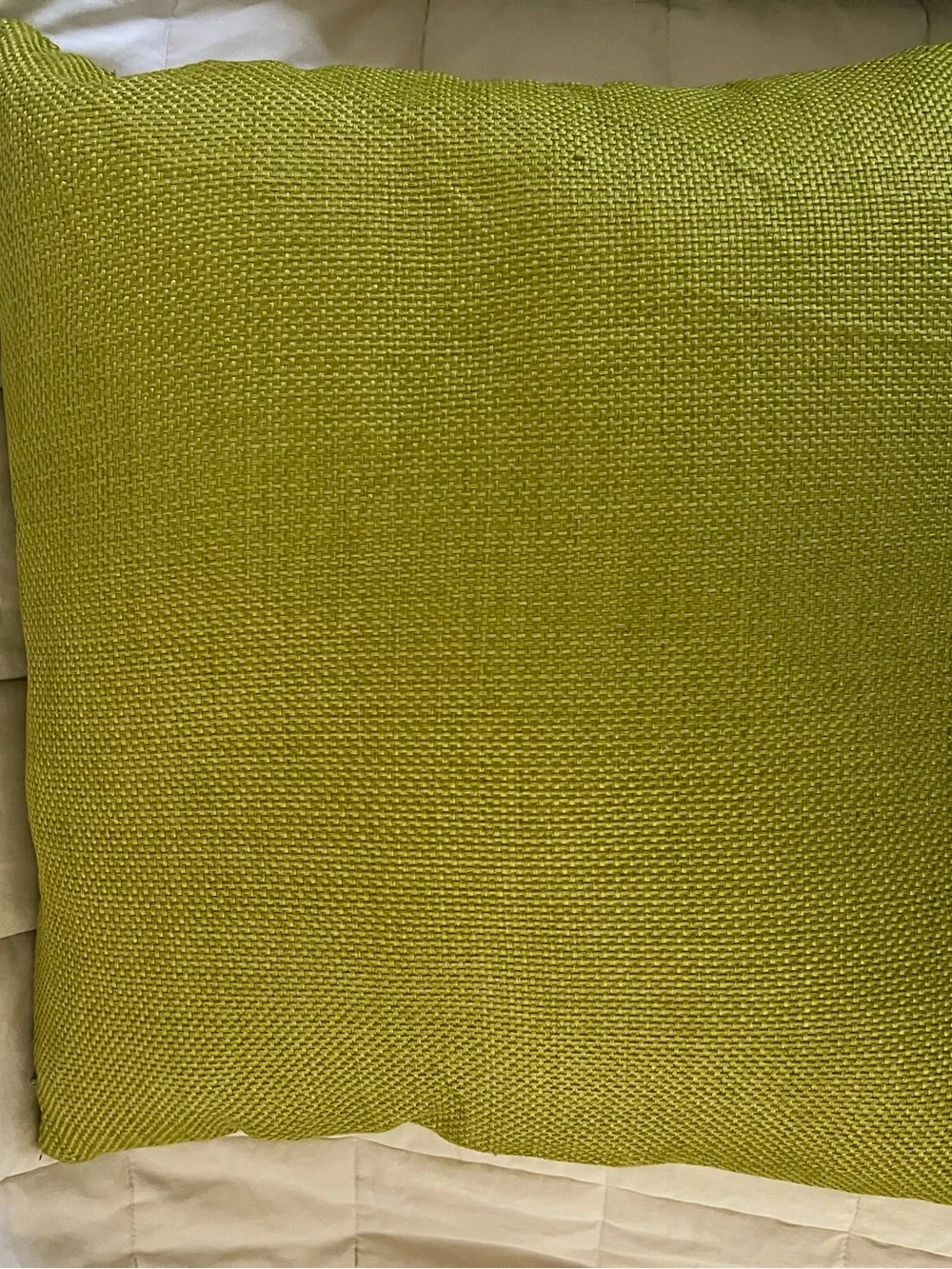 Green Decorative Throw Pillow with Button Accent